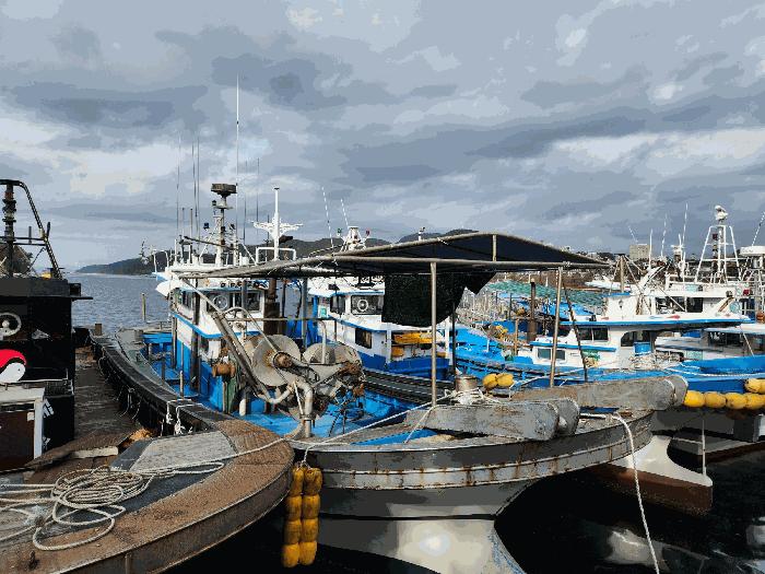 제7대동호