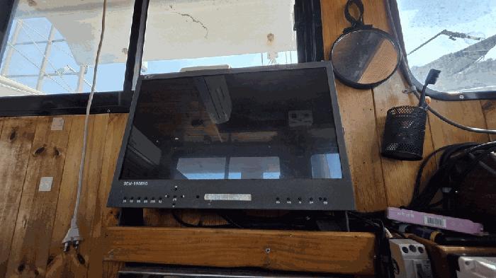 세종호