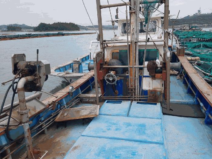제7유진호