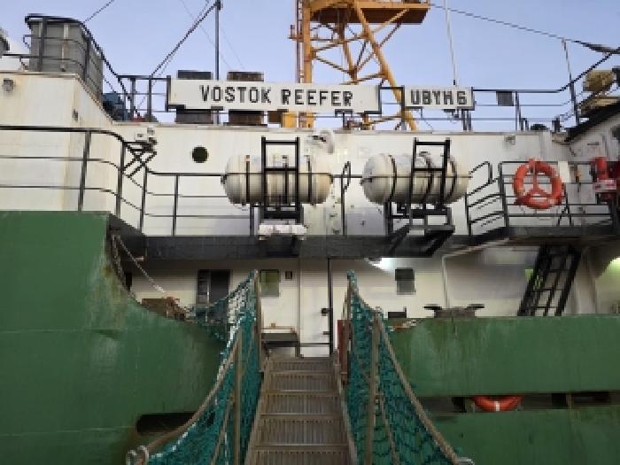 보스톡 리퍼 (VOSTOK REEFER)