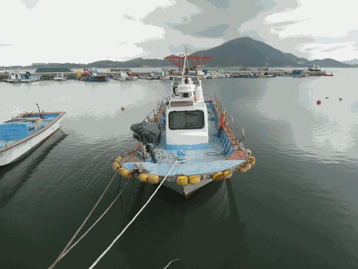 2026타경50221